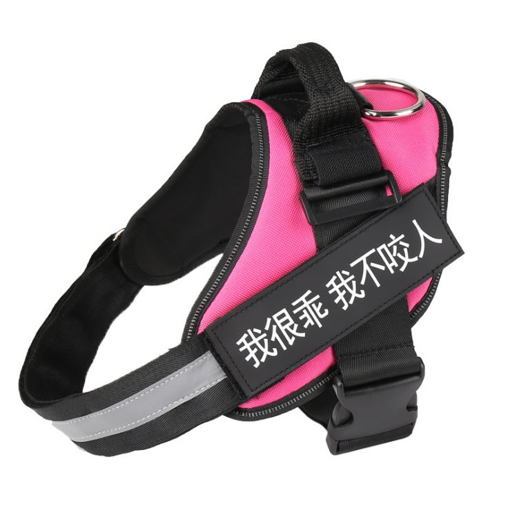 Personalized harness