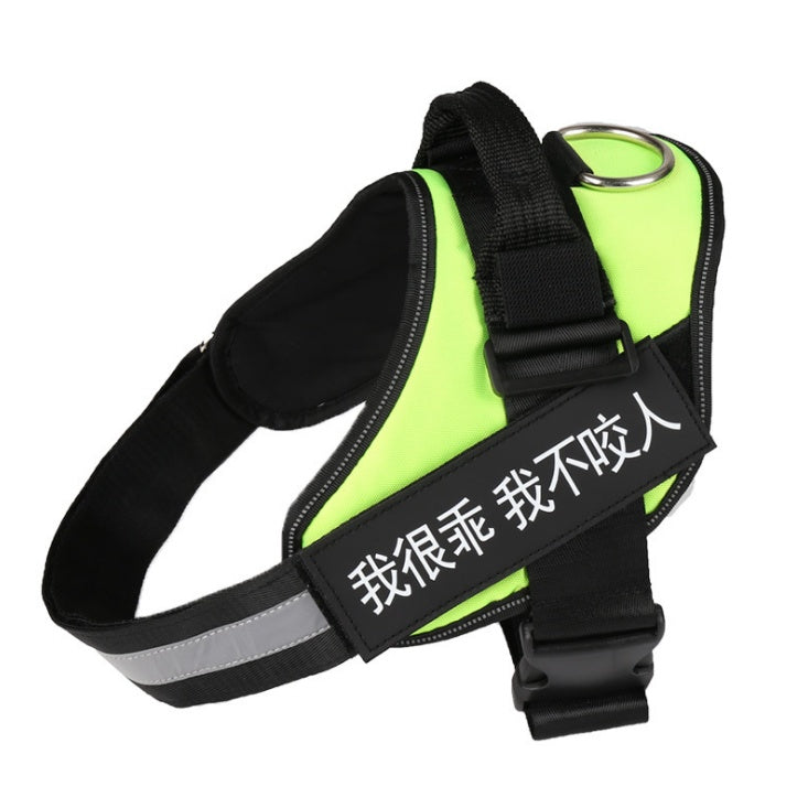 Personalized harness