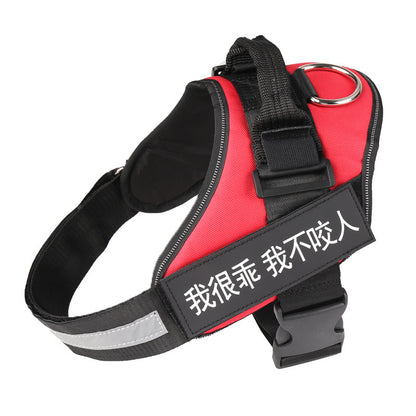 Personalized harness