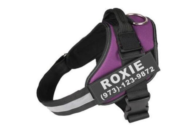 Personalized harness