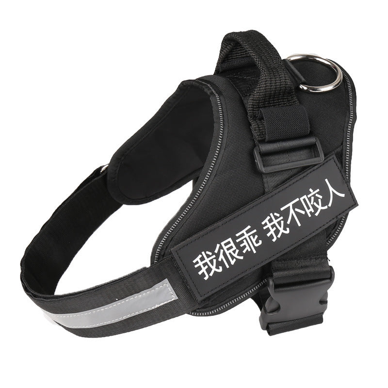 Personalized harness