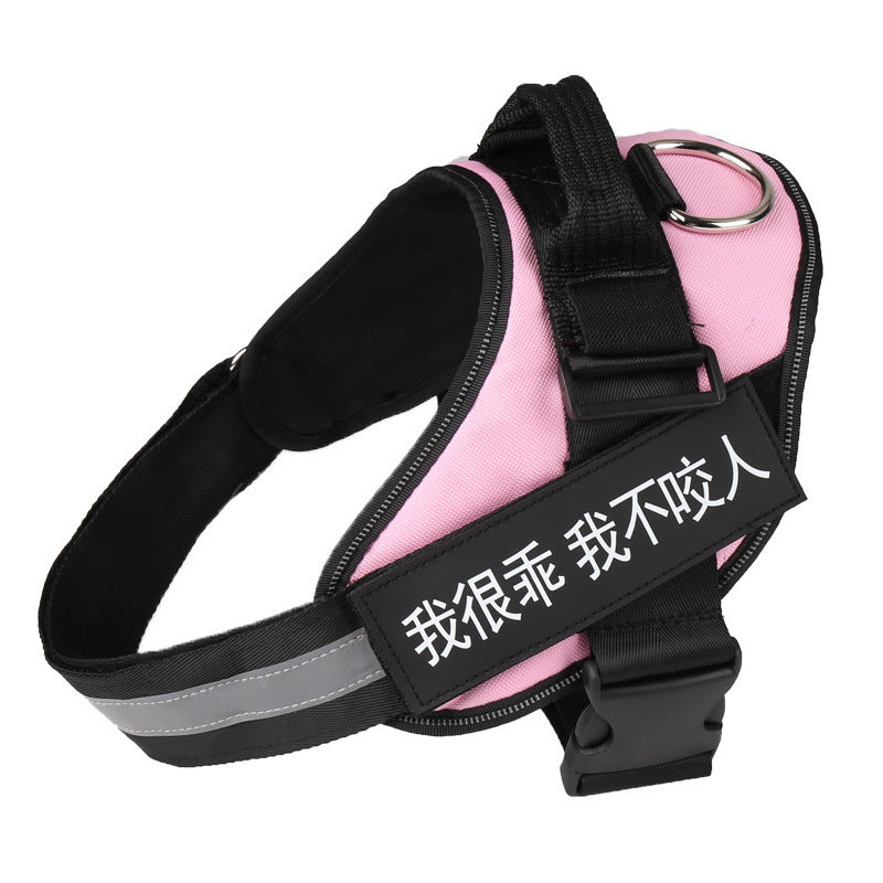 Personalized harness